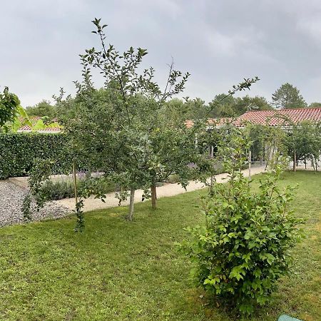 Bed and Breakfast O'Pintxo Onesse-et-Laharie Exterior foto