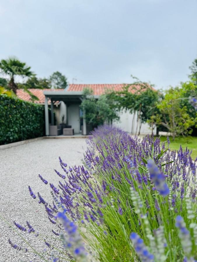 Bed and Breakfast O'Pintxo Onesse-et-Laharie Exterior foto
